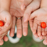 Choisir la bonne mutuelle pour sa famille