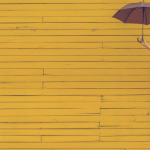 Qu'est-ce que la loi ANI ?